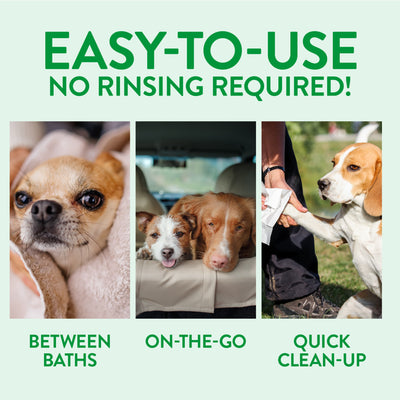 Tropiclean Deep Cleaning 7.4-oz, Waterless Dog Shampoo
