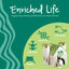 Oxbow Enriched Life Celebration Cone, Small Animal Toy