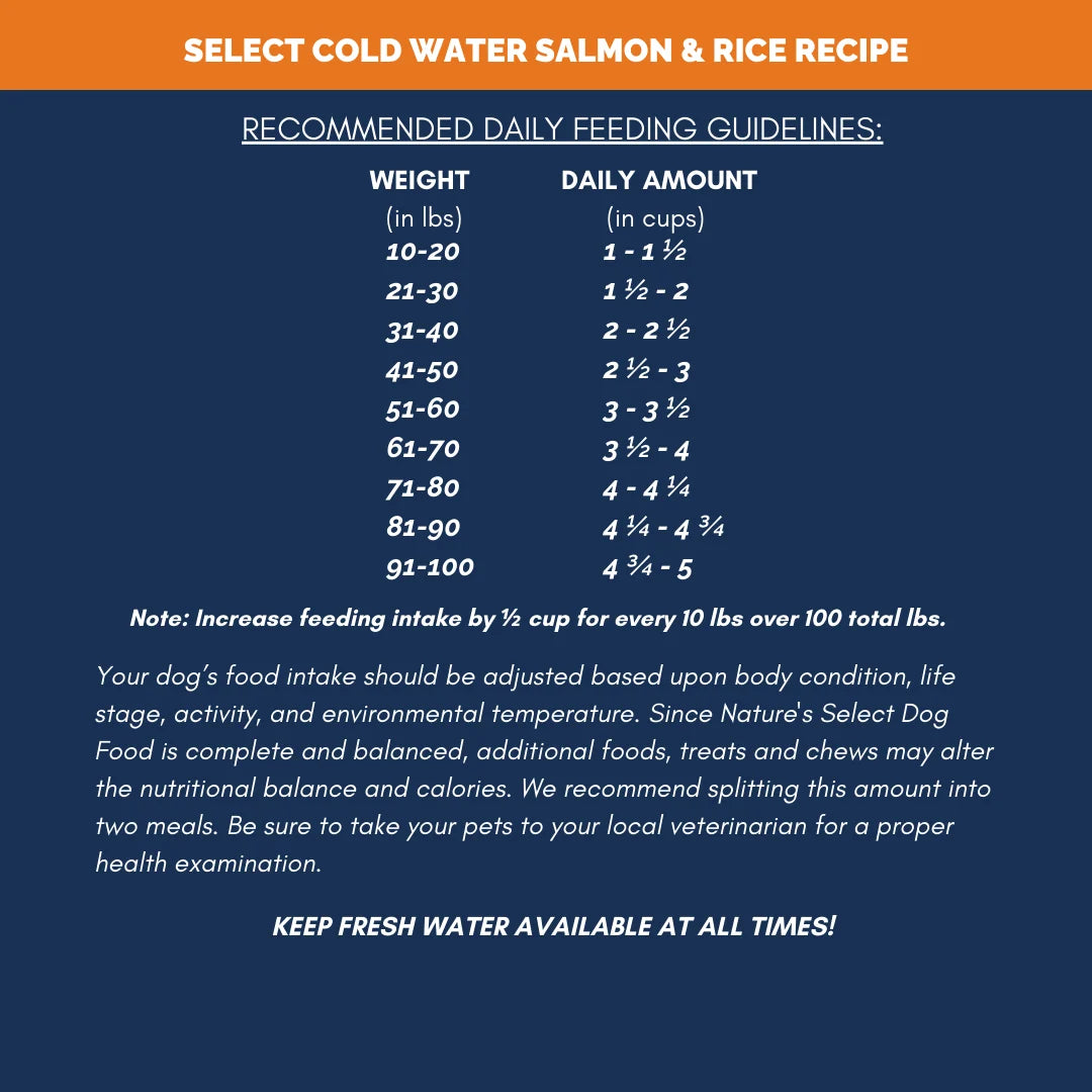Nature's Select Cold Water Salmon & Rice Recipe, Dry Dog Food, 28-lb Bag