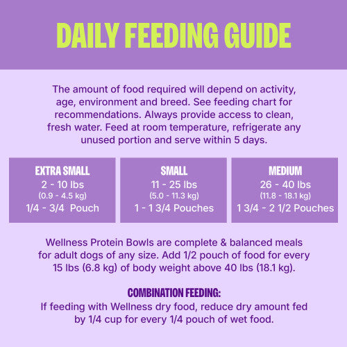 Wellness® Protein Bowls Beef, Potato & Green Bean Recipe Wet Dog Food, 6.2-oz Pouch, Case of 6