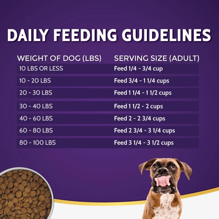 Zignature Grain Free Limited Ingredient Catfish Dry Dog Food