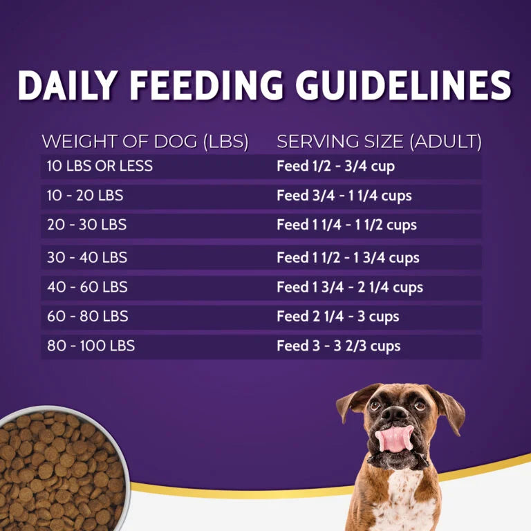 Zignature Grain Free Limited Ingredient Goat Dry Dog Food