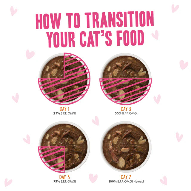 Weruva BFF OMG Gravy! Rainbow Á Gogo Variety Pack, 2.8-oz Pouch, Case of 12, Wet Cat Food
