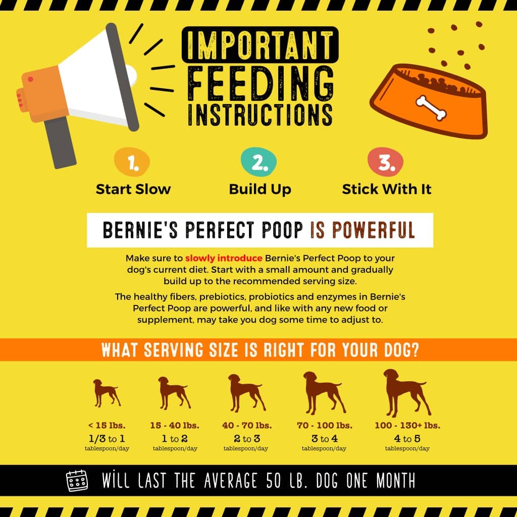 Bernie's Perfect Poop With Chicken, Dog Supplement