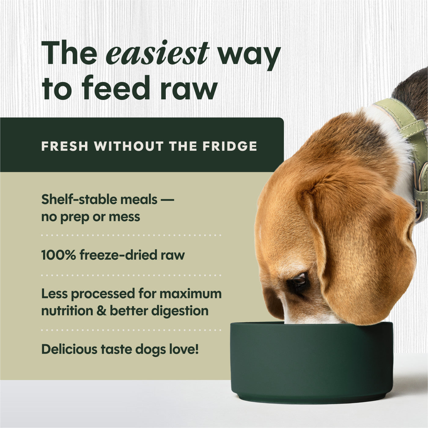 Instinct Raw Freeze-Dried Meals Real Lamb Recipe Dog Food