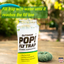 Rescue! Pop! Reusable Fly Trap