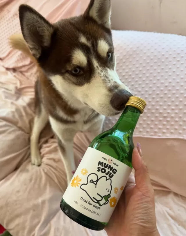 High Four Mung Soju for Dogs – Non-Alcoholic Dog Soju, 11.16-oz Bottle