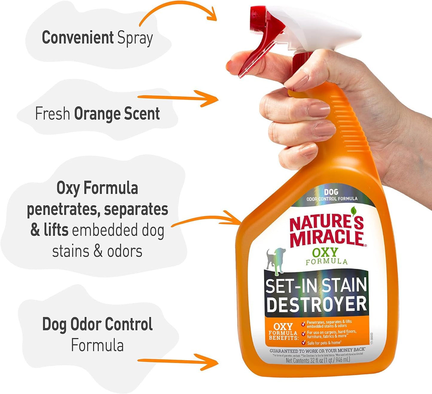 Nature's Miracle Oxy Formula Set-In-Stain Destroyer