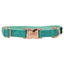 Sassy Woof Wag Your Teal Dog Collar