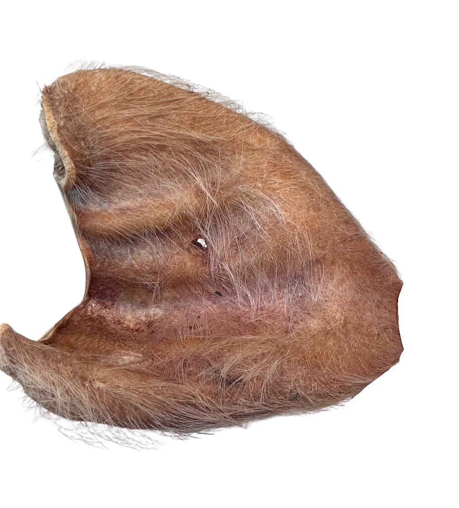 Momentum Hairy Pig Ear, Dog Chew