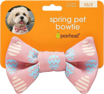 Pearhead Extra Small/Small Easter Egg, Pet Bowtie