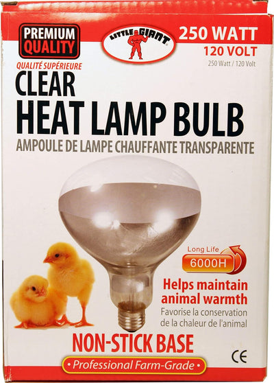 Little Giant 250-Watt Clear Heat Lamp Bulb