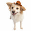 Pet Krewe Cowboy Hat, Dog Costume