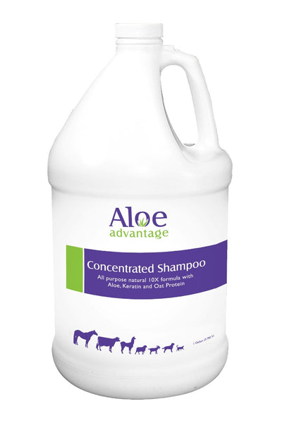 Aloe Advantage Concentrated 1-Gal, Pet Shampoo
