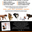 SquarePet VFS® POWERHOUND™ Turkey & Chicken, Dry Dog Food