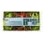 Oxbow Enriched Life Garden Dig Box
