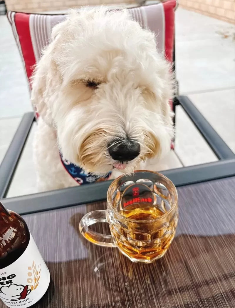 High Four Mung Beer for Dogs – Non-Alcoholic Dog Beer, 7.44-oz Bottle