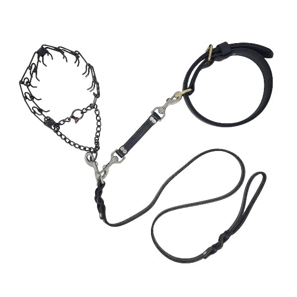 Dogline Biothane Prong Collar Safety Backup Clip