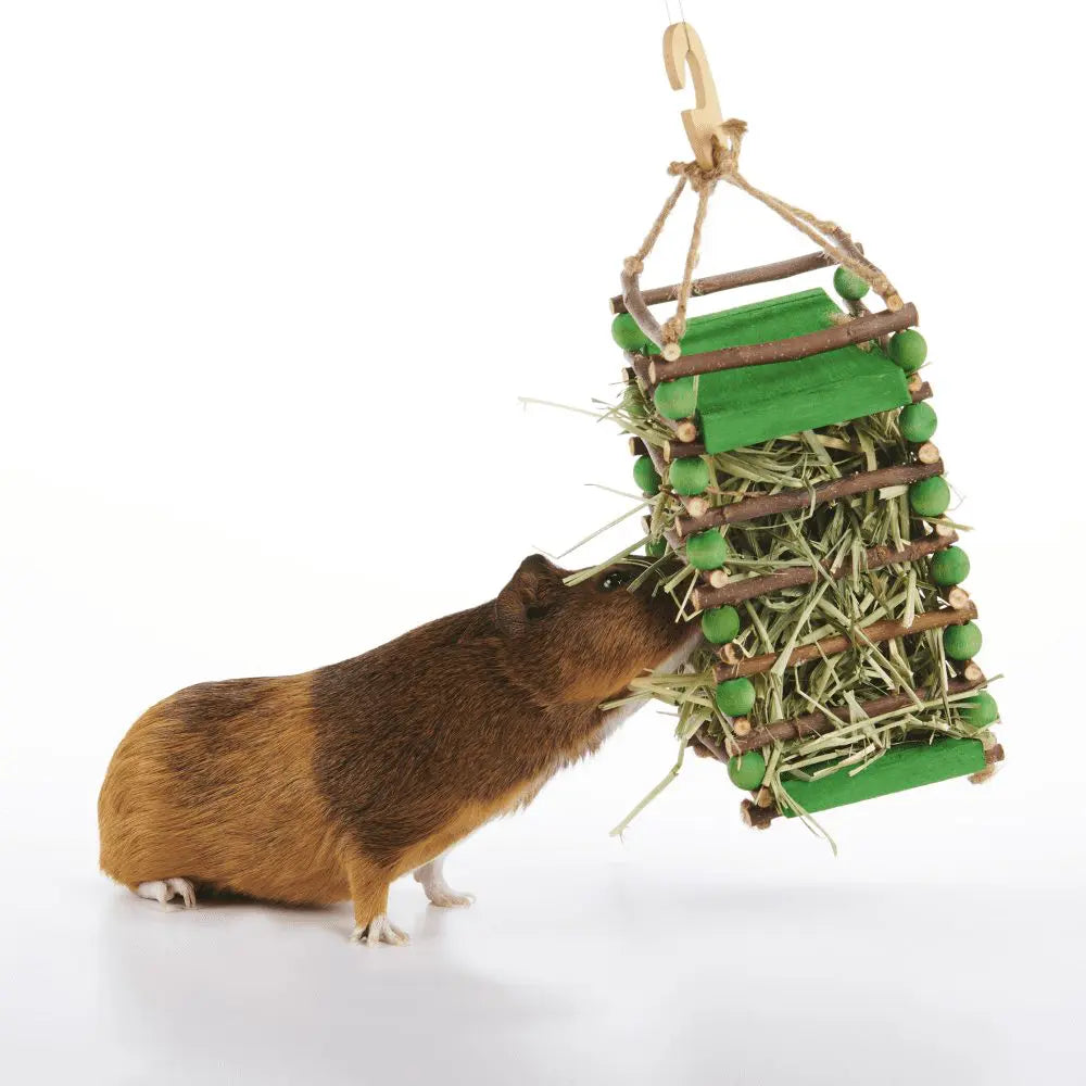 Oxbow Enriched Life Apple Stick Hay Feeder For Small Animals