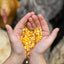 Happy Hen Treats Party Mix Corn & Worm Blend 2-lb, Poultry Treat