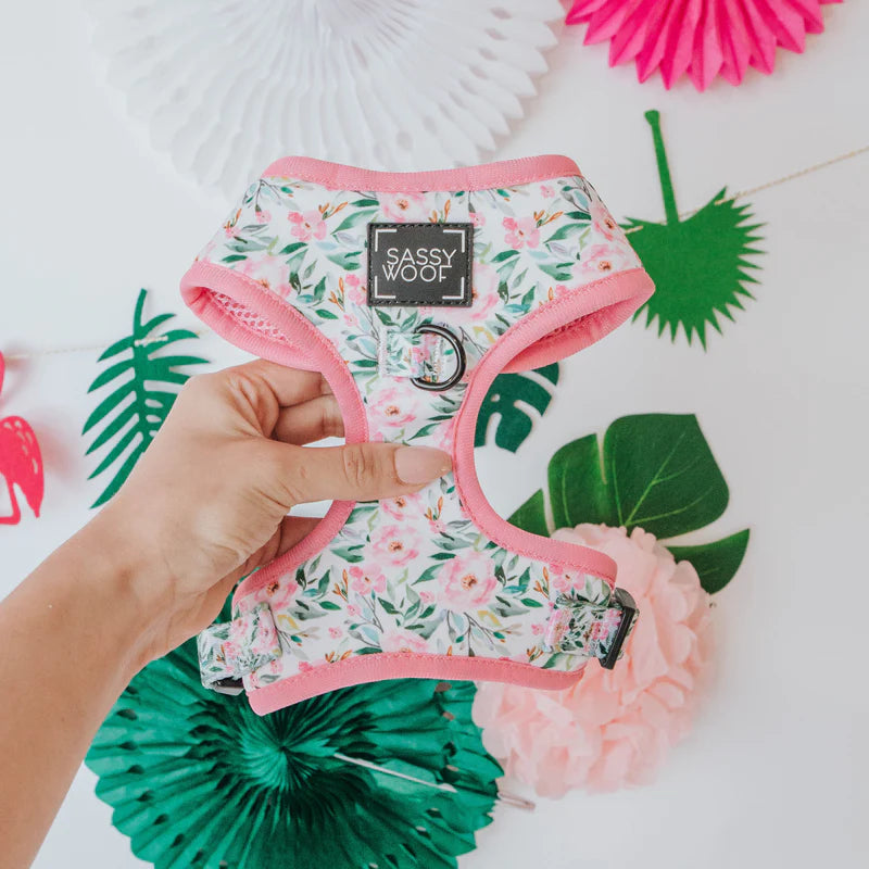 Sassy Woof Magnolia Dog Harness