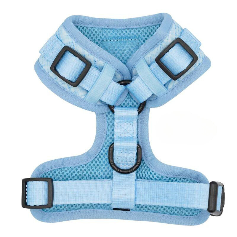 Sassy Woof Blumond Dog Harness
