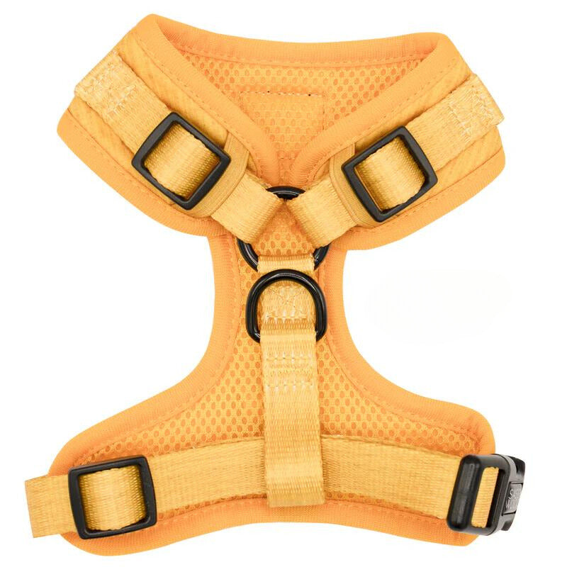 Sassy Woof Sunflower Fields Dog Harness