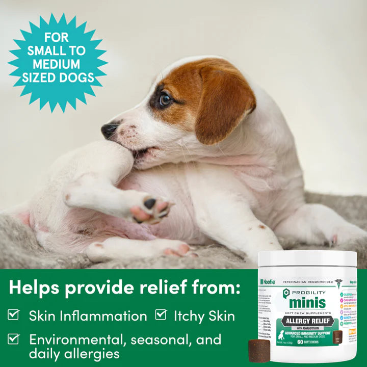 Nootie Progility Minis Allergy Relief 60-Count, Dog Supplement