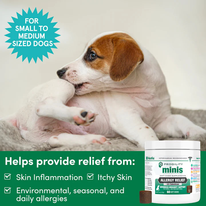 Allergy medicine for small dogs deals
