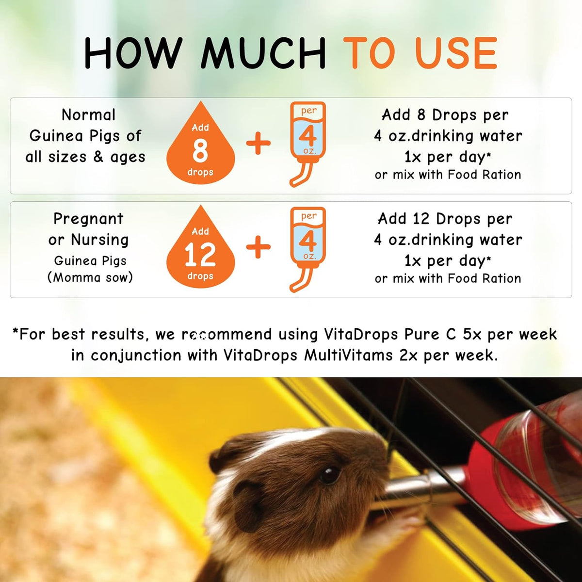 Oasis Vita Drops Vitamin C 2-oz, Guinea Pig Supplement – Anaheim Feed ...