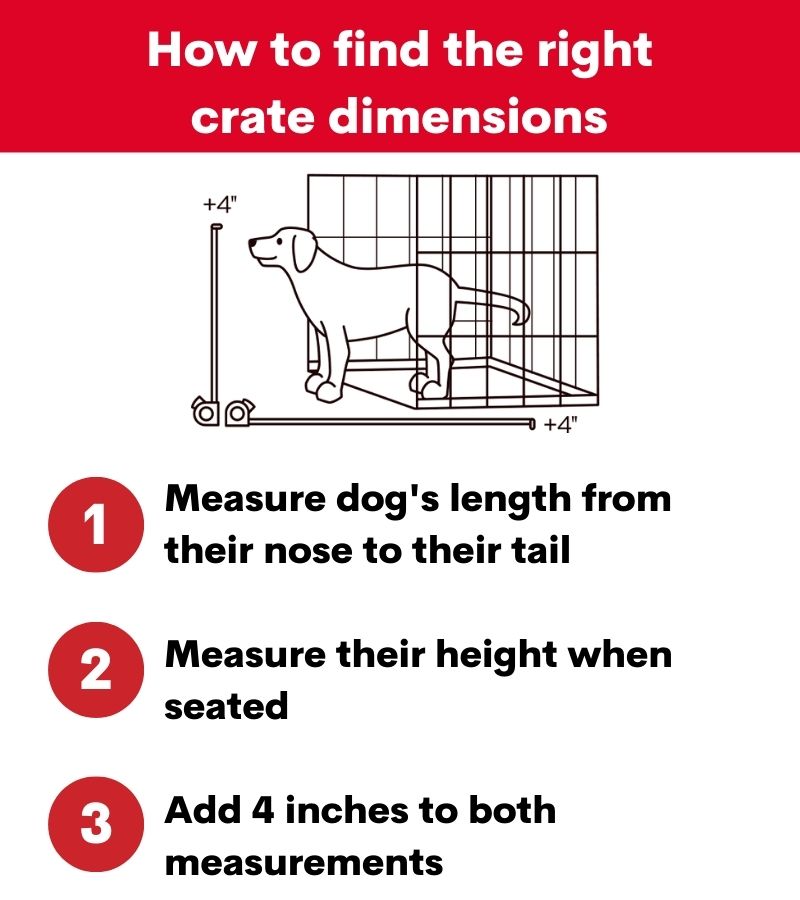 Precision Pet ProValu 2-Door Wire Dog Crate