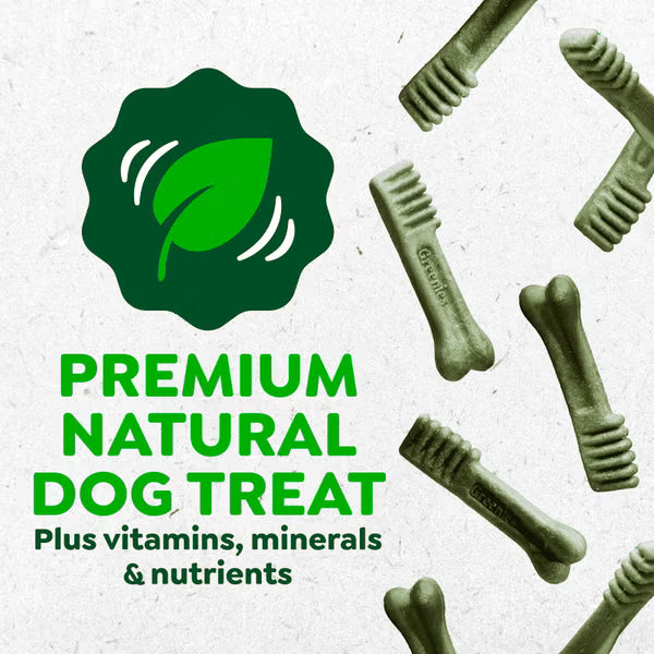 GREENIES Large Original Natural Dog Dental Care Chews Oral Health Dog Treats