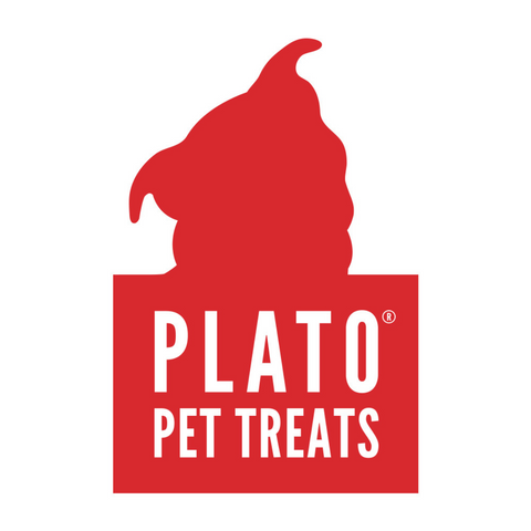  Plato