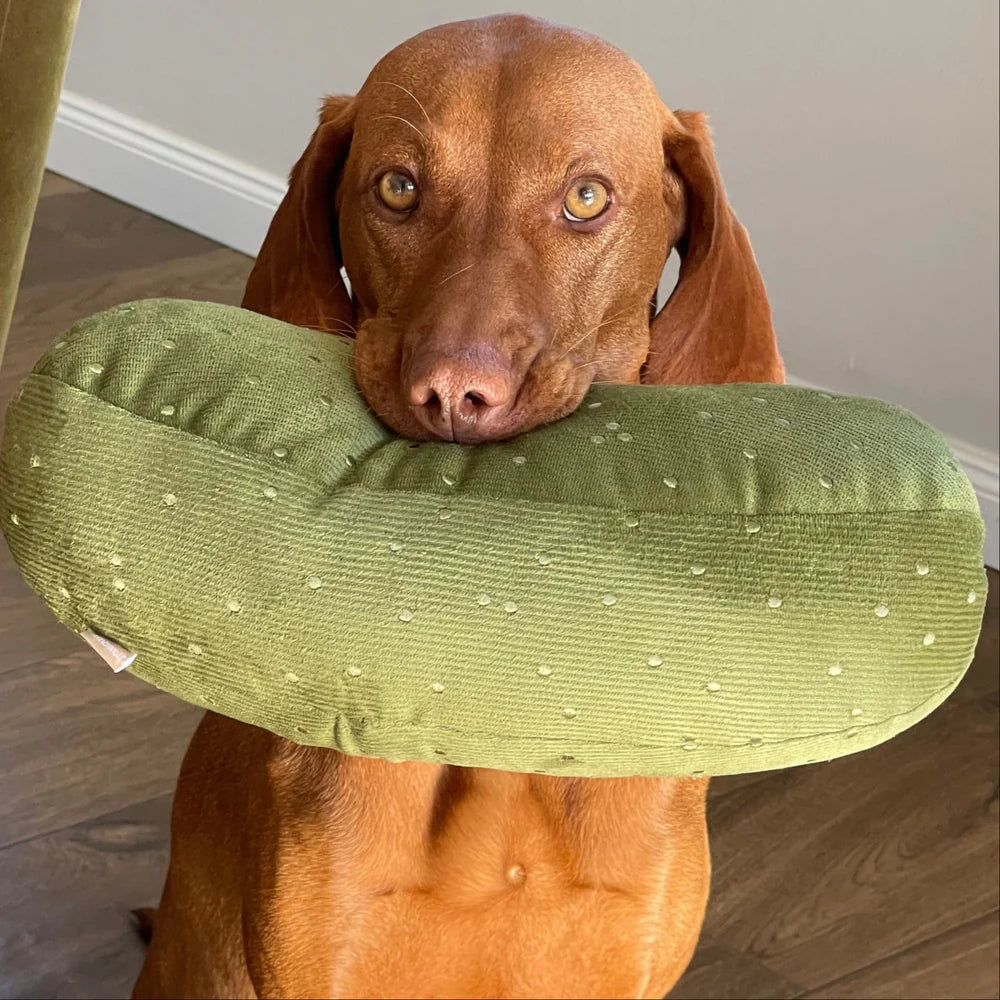 Lambwolf Collective Giant Pickle, Dog Toy
