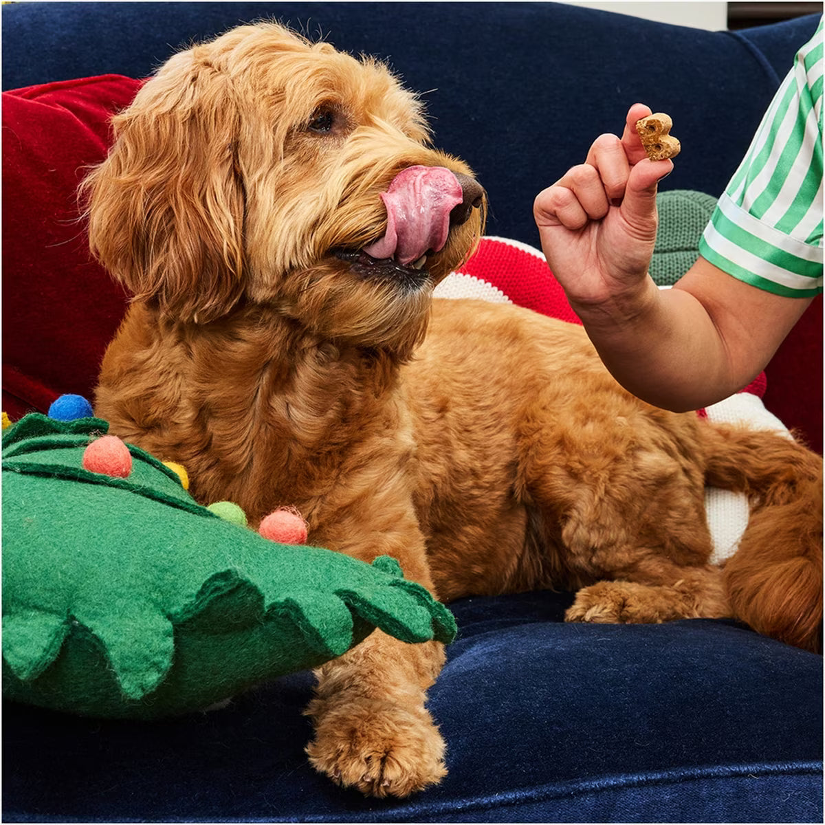 Bocce's Bakery Milk n Cookies Peanut Butter & Vanilla Dog Treats, 6-oz Bag