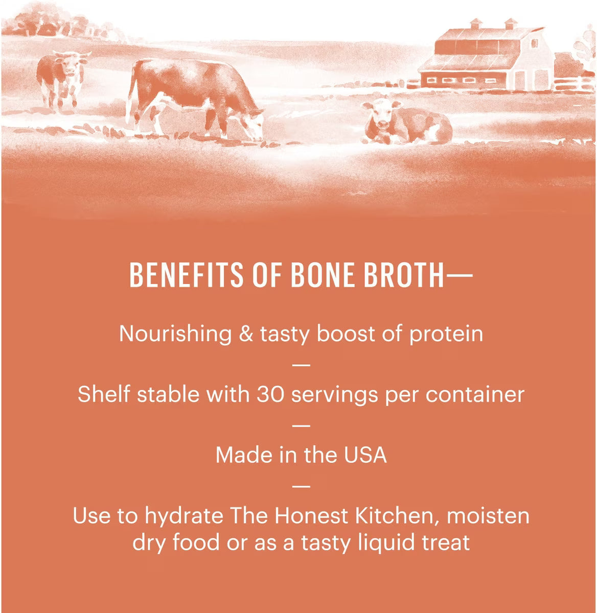 The Honest Kitchen Instant Beef Bone Broth 3.6oz, Dog Meal Topper
