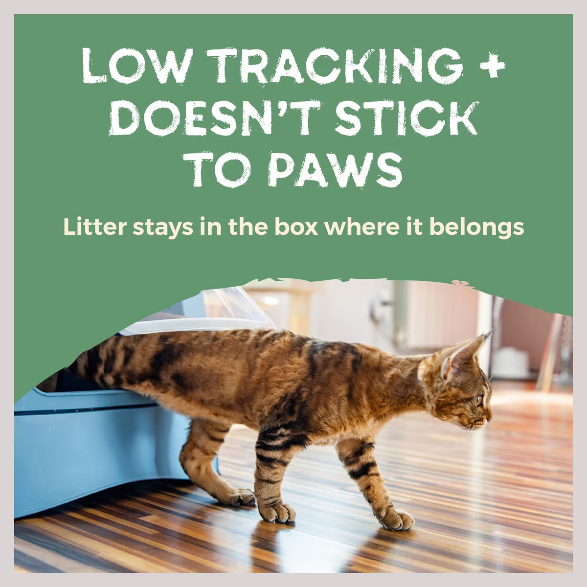 Naturally Fresh Quick Clumping Litter