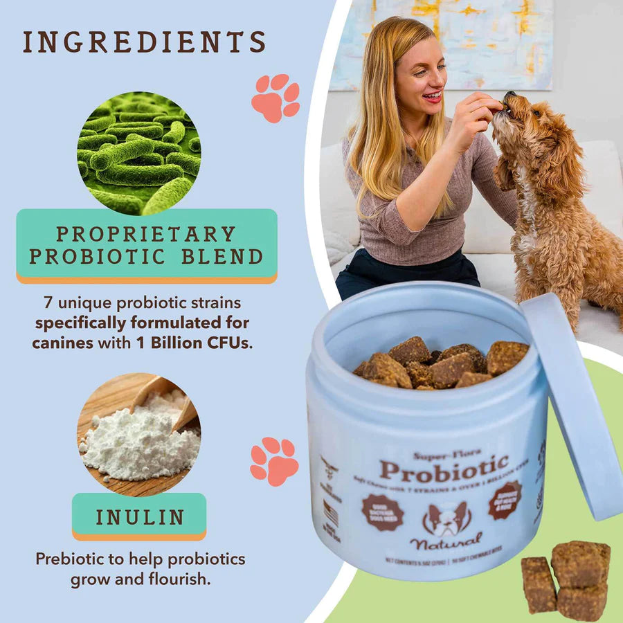 Natural Dog Company SuperFlora Probiotic 90Count, Dog Supplement Anaheim Feed & Pet Supply