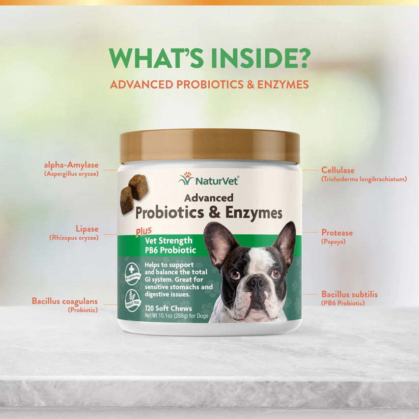 Naturvet advanced probiotics & enzymes best sale