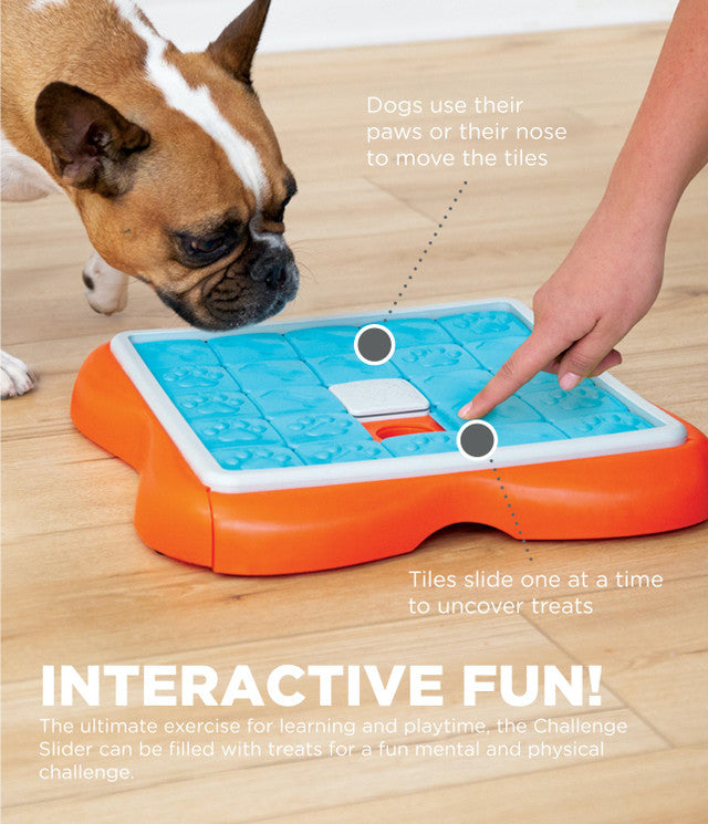 Outward Hound Challenge Slider Interactive Treat Puzzle For Dogs – Anaheim  Feed & Pet Supply