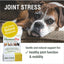 HomeoPet Joint Stress 15-mL, Pet Supplement