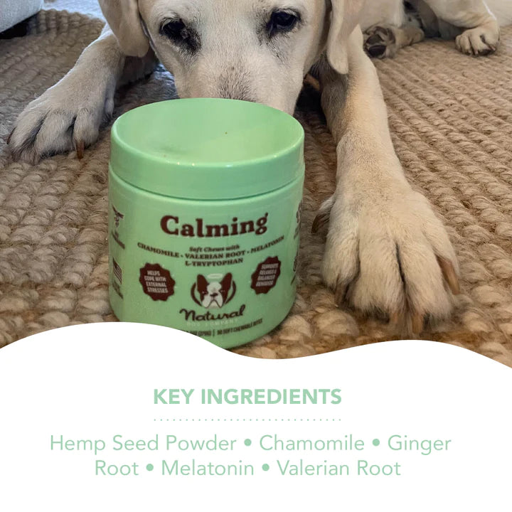 Naturally calming foods for dogs online