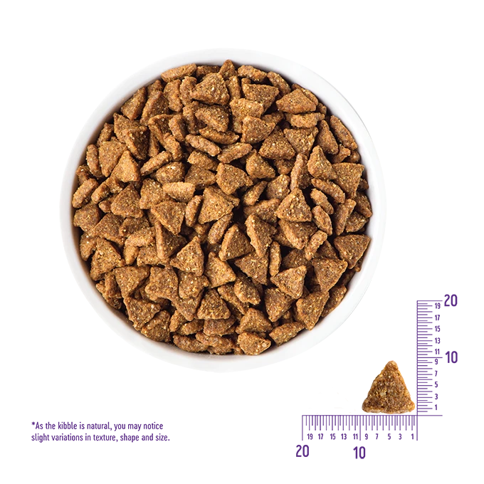 Wellness complete health small breed dog food best sale