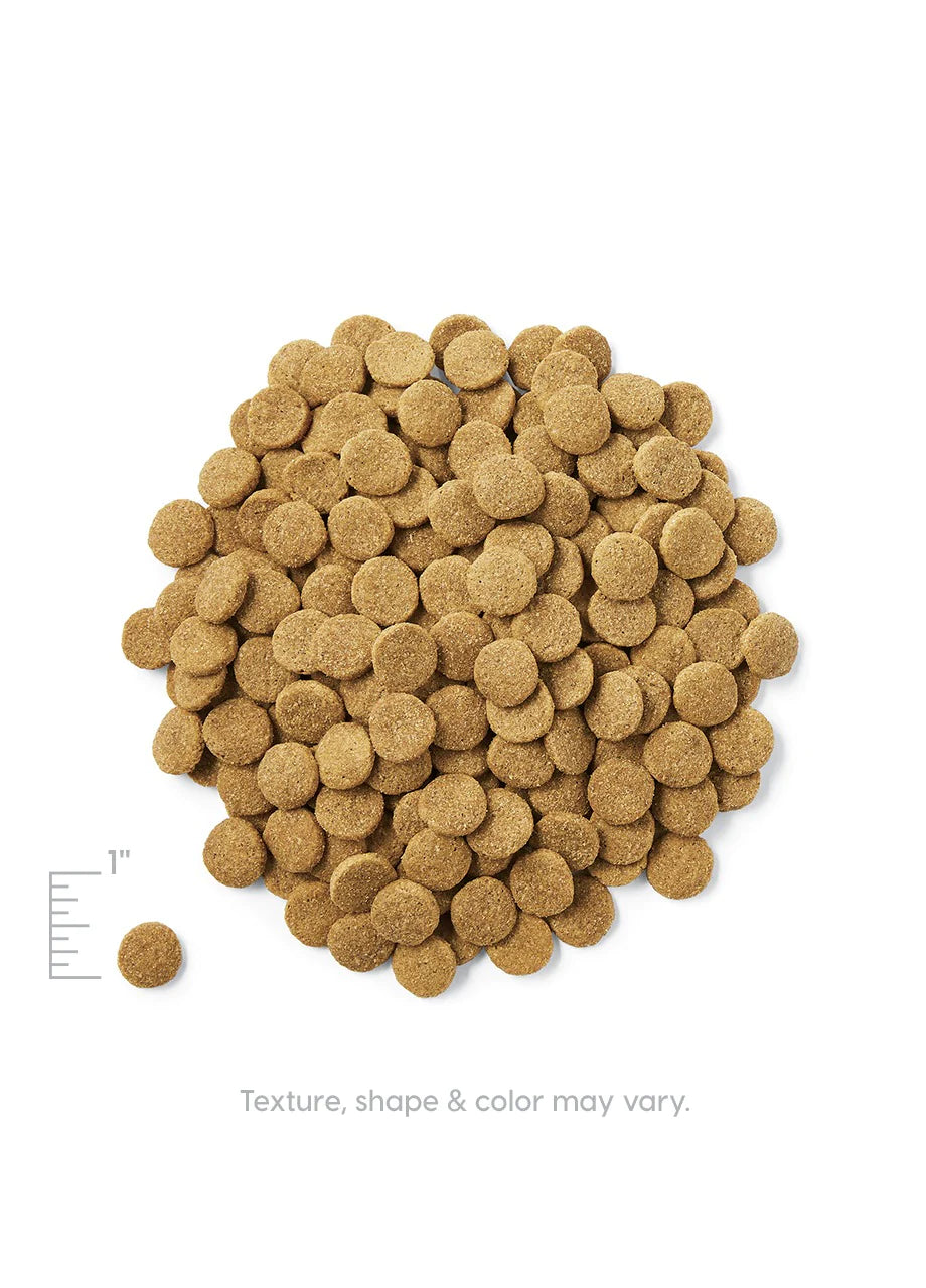 Pet circle dry dog food shops