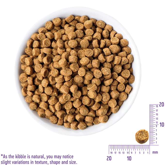 Wellness Complete Health Adult With Wholesome Grains Salmon