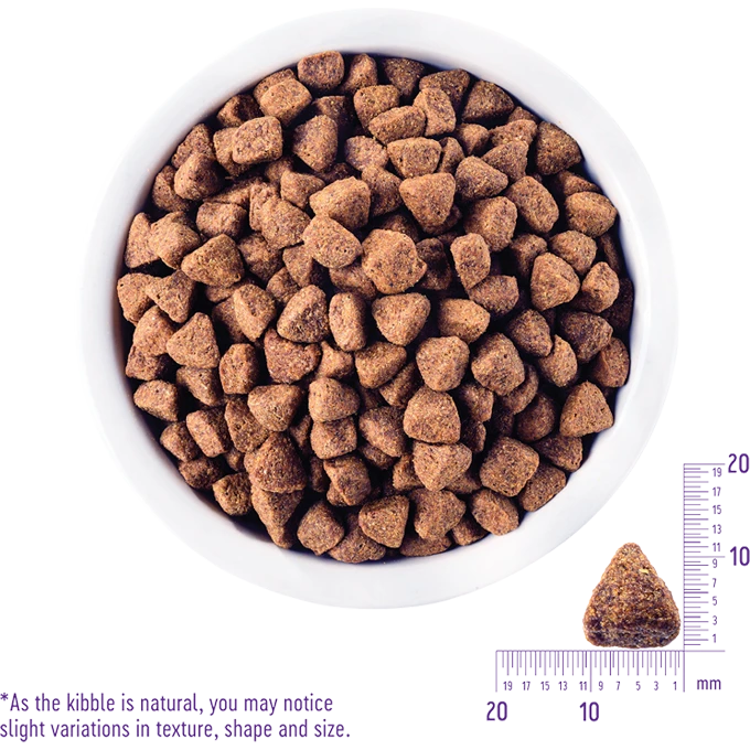 Wellness CORE Reduced Fat Dry Dog Food