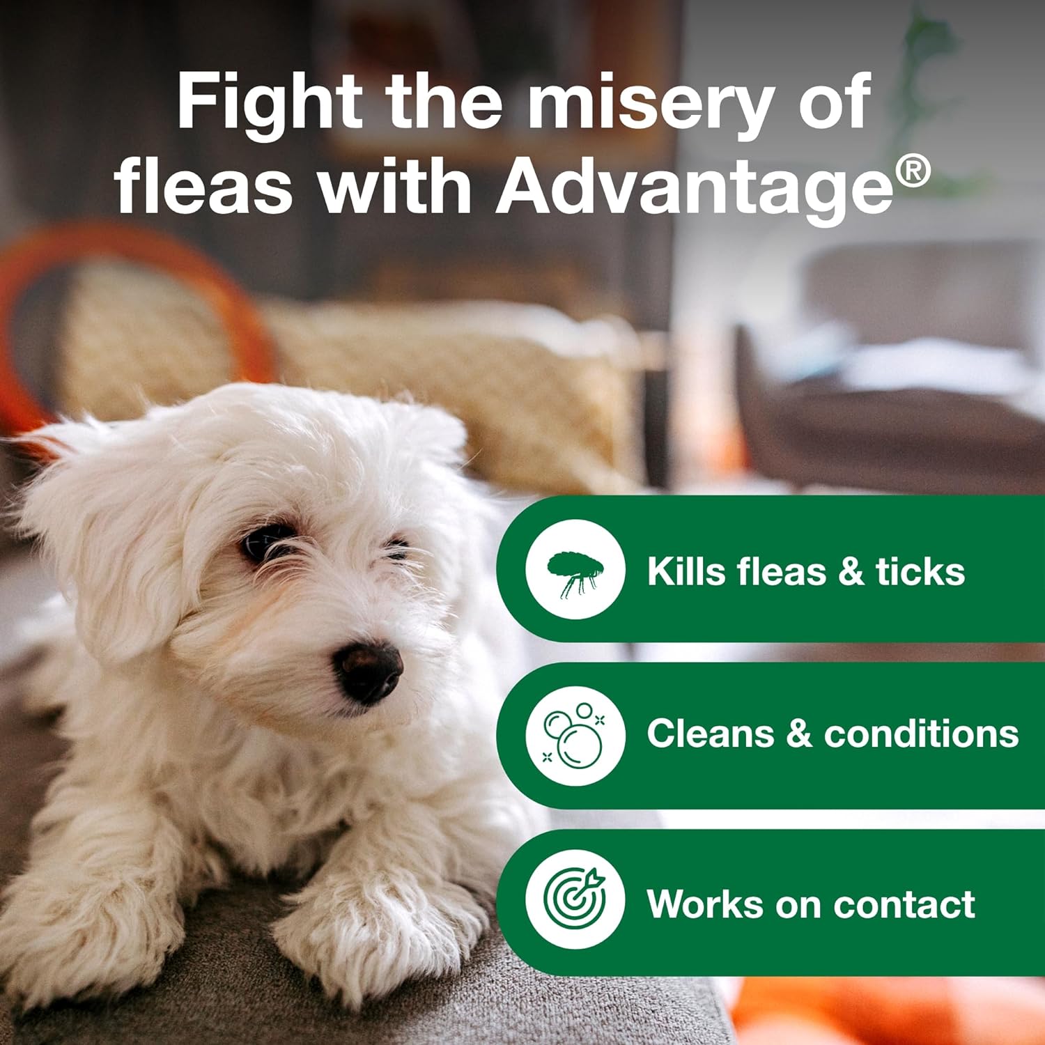 Shops advantage flea shampoo for dogs