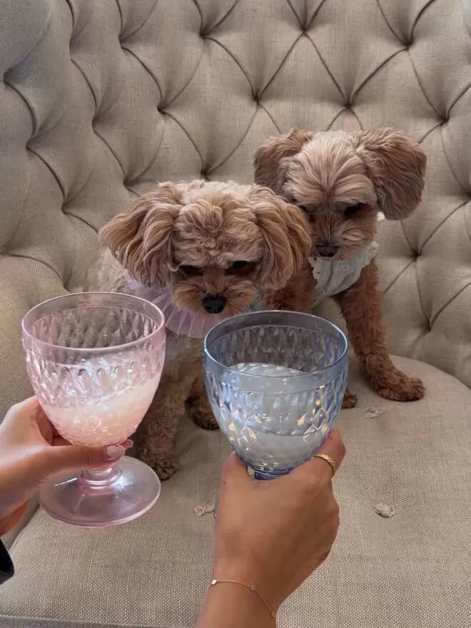 High Four Mung Ricewine for Dogs – Non-Alcoholic Dog Makgeolli, 9.13-oz Bottle