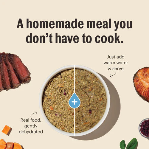 The Honest Kitchen Grain Free Turkey Recipe Dehydrated Dog Food, 10-lb Box