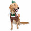 Pet Krewe German Oktoberfest, Dog Costume